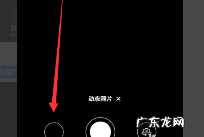 如何拍动态,如何使用单反拍出好的动态图像
