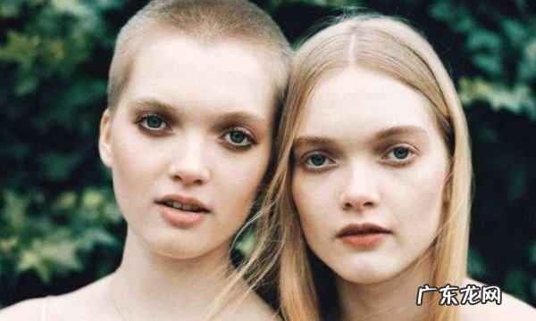 姐妹和姊妹有什么区别,姊妹和姐妹写法不同怎么办