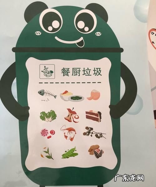 剩饭剩菜属于什么垃圾种类,剩饭是什么垃圾分类