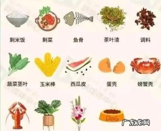 剩饭剩菜属于什么垃圾种类,剩饭是什么垃圾分类