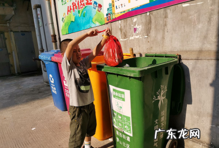 剩饭剩菜属于什么垃圾种类,剩饭是什么垃圾分类