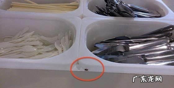 蟑螂爬过的碗筷怎么办,被蟑螂爬过的碗筷之类的用具还能用
