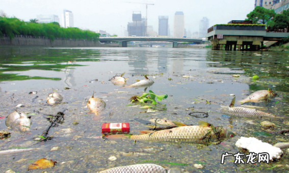 污染物分为哪几类,大气污染类型有哪些