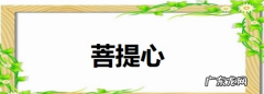到底什么是菩提心,菩提心是什么意思如何发菩提心