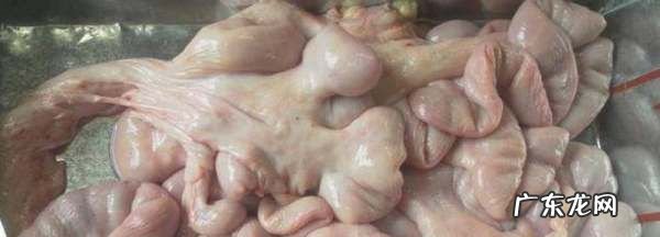 猪花肠什么人不能吃,什么人不能吃猪花肠