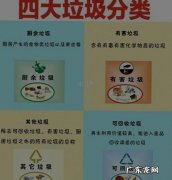 贝壳属于哪类垃圾分类,贝壳类属于哪种垃圾分类