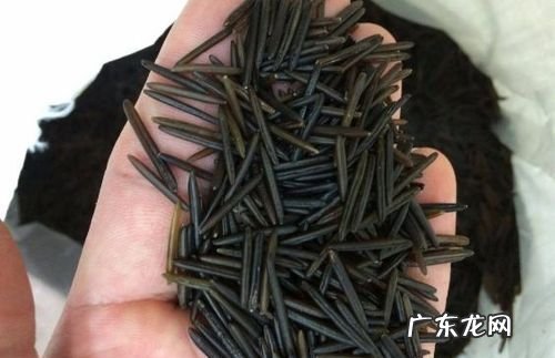 又细又长的米叫什么,又长又细的大米是啥米