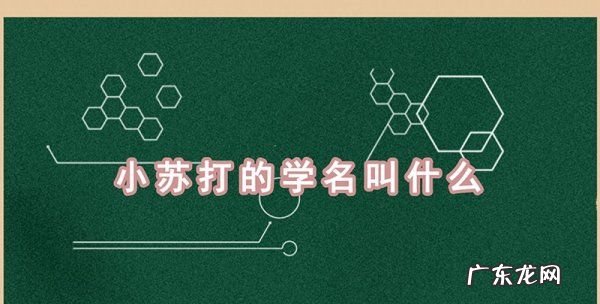 小苏打又叫什么名字,小苏打俗称叫什么名字