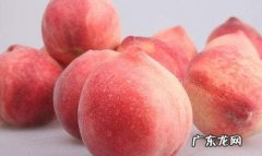 杏和桃的区别,桃树和杏树的区别