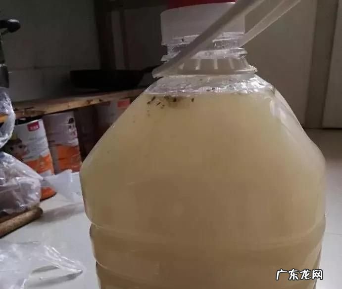 怎么判断淘米水发酵好了,淘米水正确的发酵方法洗头