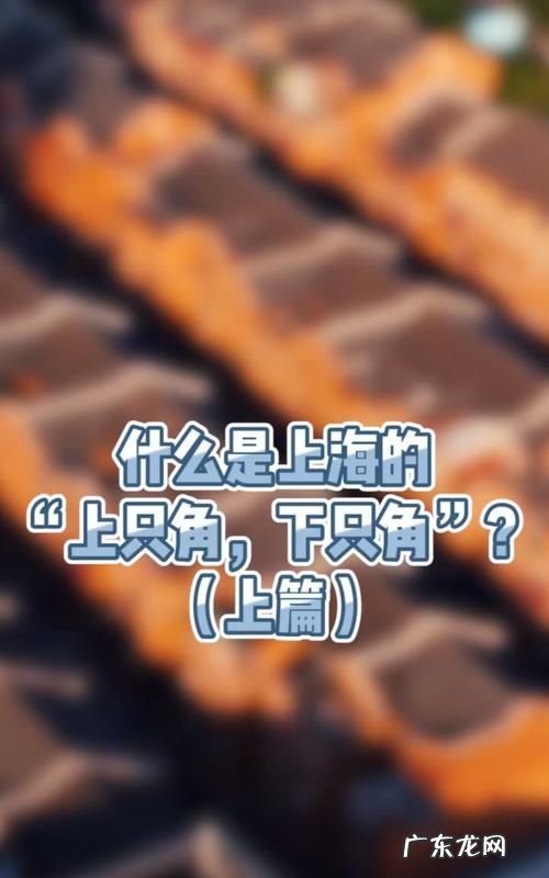 上只角下只角哪些区,上海话上只角是什么意思