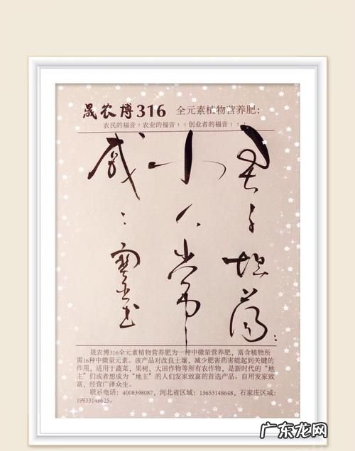 戚戚是什么意思,心有戚戚是什么意思