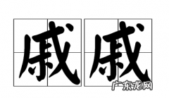 戚戚是什么意思,心有戚戚是什么意思