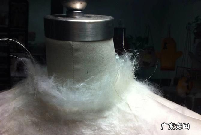 棉纤维和羊毛纤维的燃烧现象是什么,...如何通过棉纤维羊毛纤维锦棉涤纶的燃烧现象的不同来区别这四种...