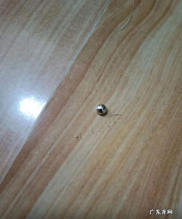 水银残留地板缝怎么办,水银到地板缝怎么处理