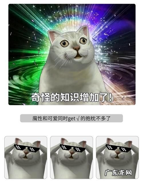 mur猫是什么意思,表情包很火的那个白猫看你在干嘛