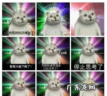 mur猫是什么意思,表情包很火的那个白猫看你在干嘛