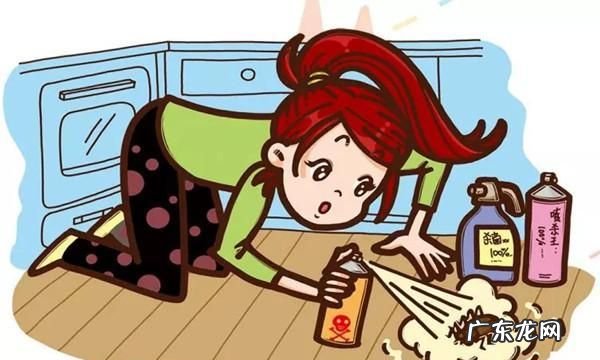 蟑螂怕洗衣粉,洗衣粉能杀蟑螂卵