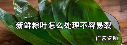 粽叶太脆易裂怎么办,粽叶容易断裂怎么办