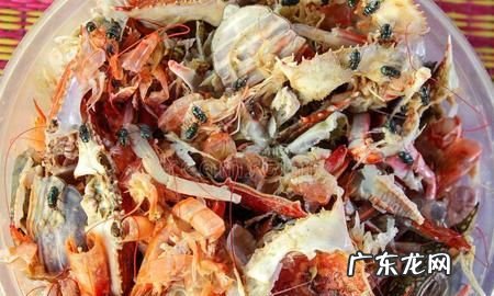 垃圾分类蟹壳是什么垃圾,螃蟹壳属于什么垃圾应放入什么颜色的垃圾桶