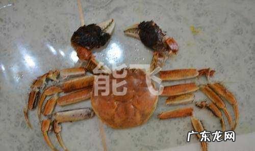 垃圾分类蟹壳是什么垃圾,螃蟹壳属于什么垃圾应放入什么颜色的垃圾桶