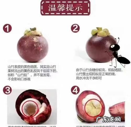 怎么判断山竹肉是好的坏的,怎么判断山竹肉是好的坏的