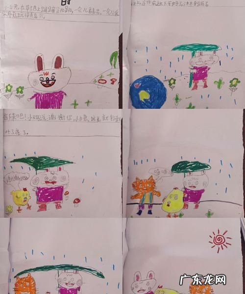 下雨了动物有哪些不同的表现,下雨天动物的表现有哪些蛇不出洞