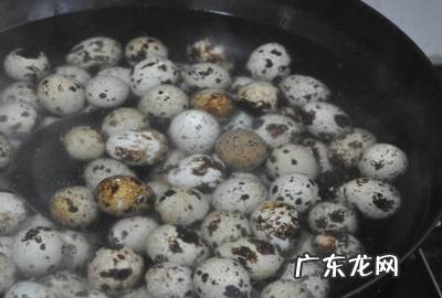 煮鹌鹑蛋需要多长时间,鹌鹑蛋煮几分钟熟
