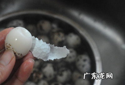 煮鹌鹑蛋需要多长时间,鹌鹑蛋煮几分钟熟