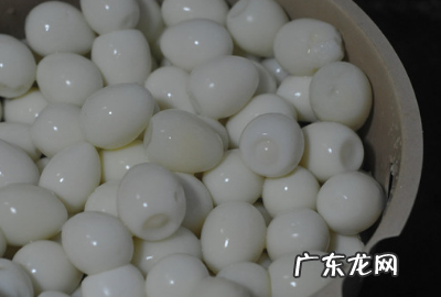 煮鹌鹑蛋需要多长时间,鹌鹑蛋煮几分钟熟