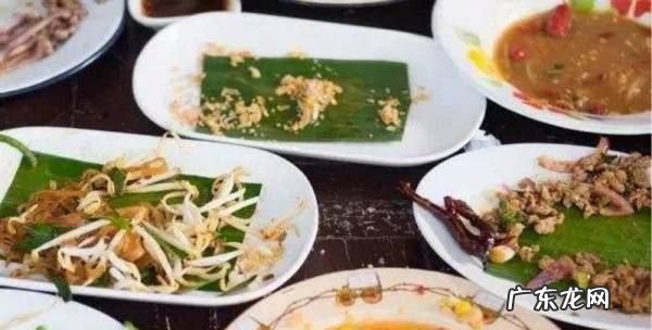 剩菜剩饭是不是厨余垃圾,剩菜剩饭属于什么类
