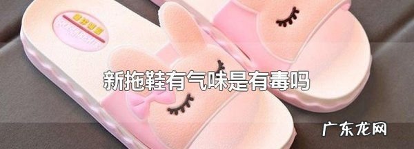 新拖鞋有气味是有毒,新拖鞋有气味是有毒知乎