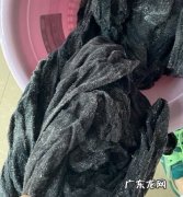 衣服上粘毛了怎样去除,粘在衣服上的字怎么去掉