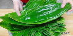 新鲜的粽叶要怎么处理才能放久,新鲜粽叶怎么长期保存