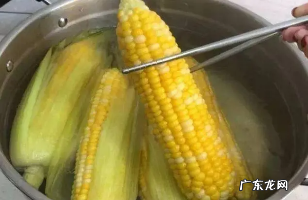夏天玉米怎么保存,煮好的玉米没有冰箱怎样保存