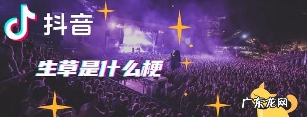生草是什么梗,很生草是什么意思