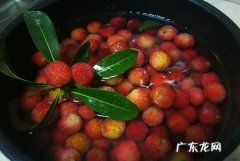 摘下来的杨梅怎么保存,采摘后的杨梅如何保存