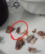 煮熟的蟑螂能吃,蟑螂高温煮后可以吃