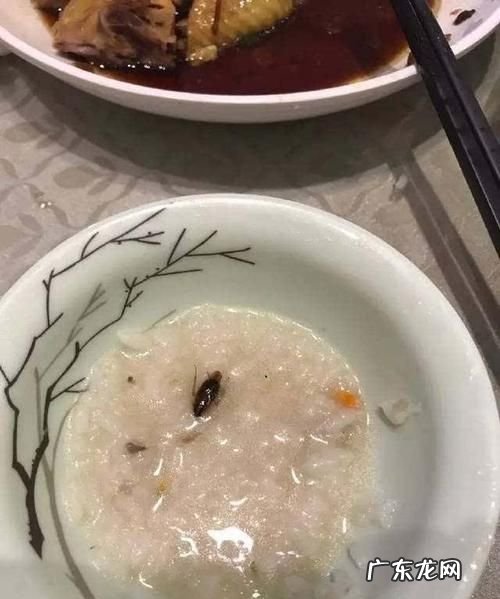 煮熟的蟑螂能吃,蟑螂高温煮后可以吃