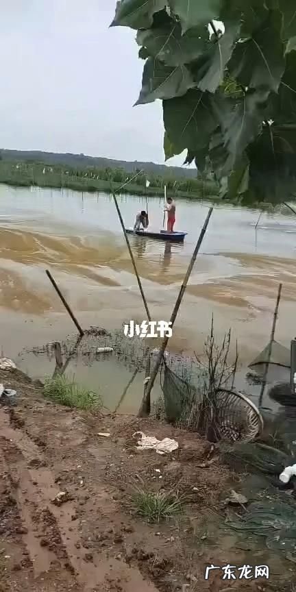 池塘铁锈水怎么处理,鱼塘铁锈水怎么去除掉