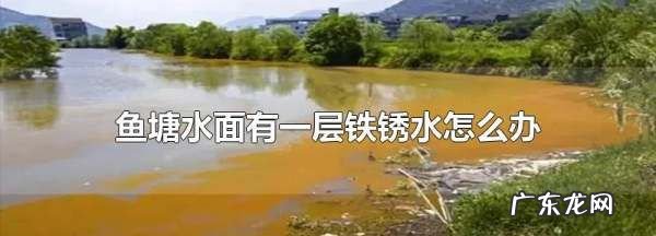 池塘铁锈水怎么处理,鱼塘铁锈水怎么去除掉