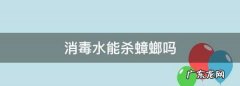 消毒水能杀蟑螂,消毒水能杀蟑螂卵