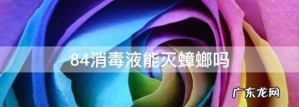 消毒水能杀蟑螂,消毒水能杀蟑螂卵