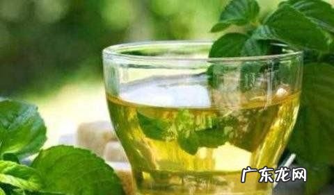 新鲜薄荷泡热水还是冷水,新鲜薄荷叶怎么泡水喝最好