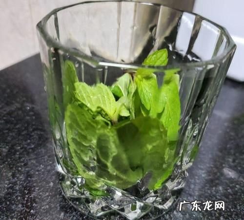 新鲜薄荷泡热水还是冷水,新鲜薄荷叶怎么泡水喝最好