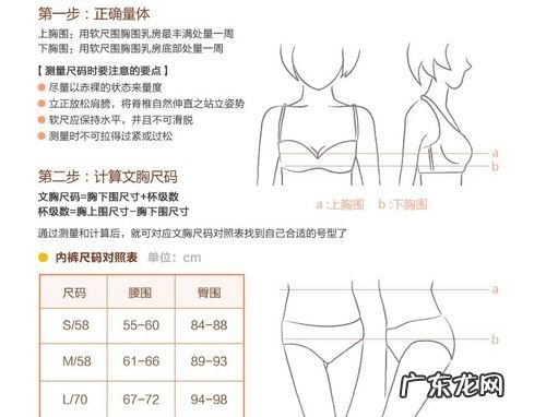 怎么看罩杯的大小,内衣abcd罩杯怎么区分大小