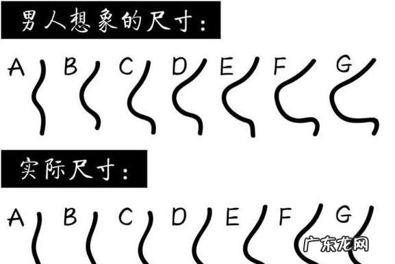 怎么看罩杯的大小,内衣abcd罩杯怎么区分大小