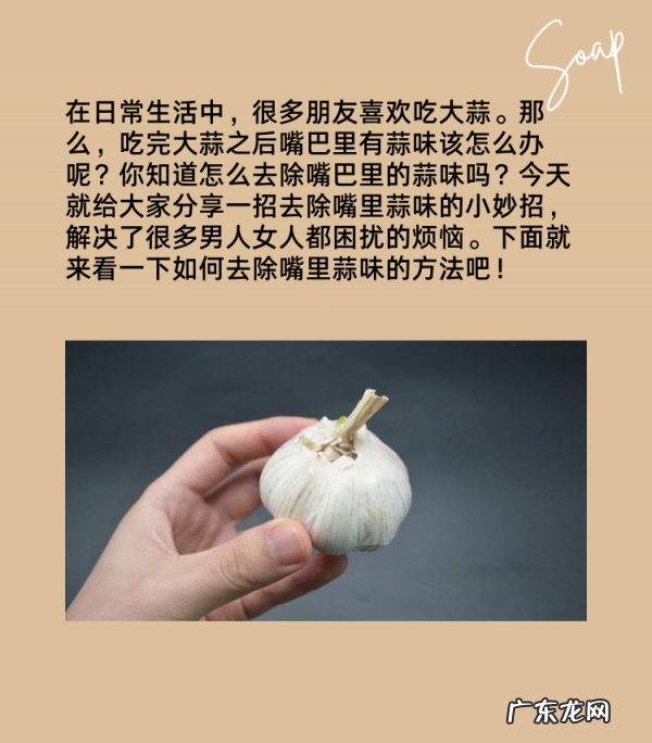 怎么样去除嘴巴里的蒜味,怎么去除嘴巴里的蒜味儿
