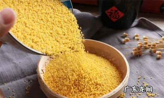 稷米与黍米区别,黍米是什么米