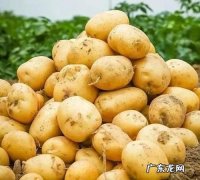 75个土豆什么意思,男生叫你小土豆什么意思